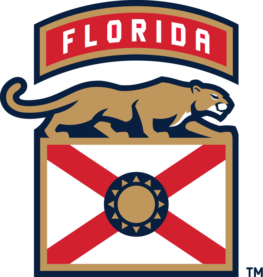 Florida Panthers 2016-Pres Alternate Logo iron on transfers for T-shirts version 4